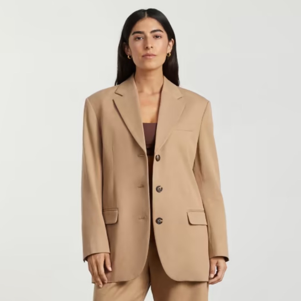NWT Everlane The 80s Blazer in Ash Brown